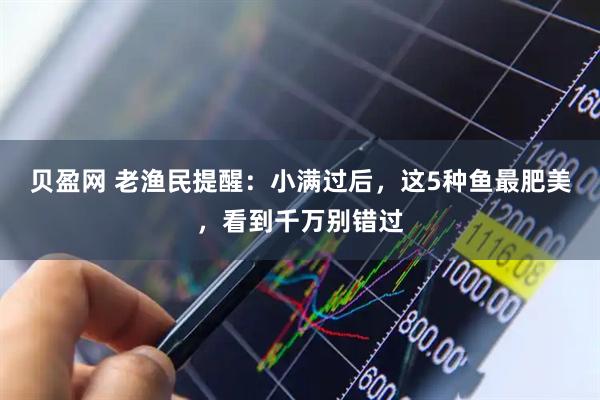 贝盈网 老渔民提醒：小满过后，这5种鱼最肥美，看到千万别错过